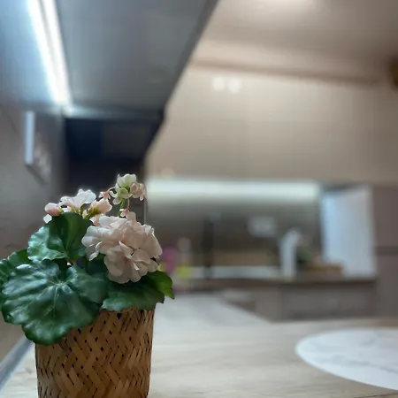 T Place Apartment *